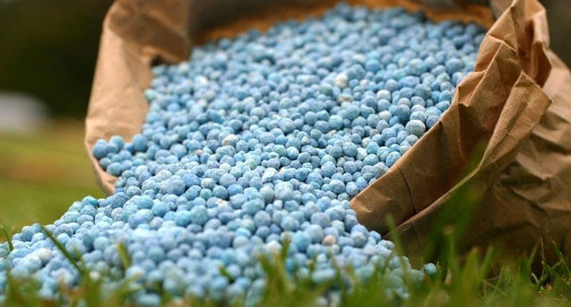 🧪 Engrais chimiques