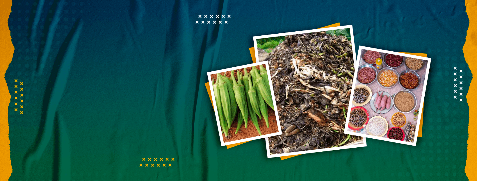 Bannière SODIAF - Intrants agricoles